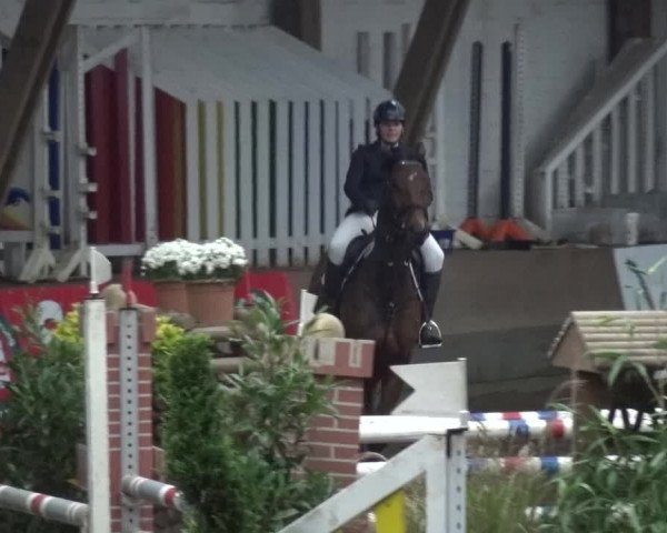 Reitturnier HH-Hummelsbüttel 2017