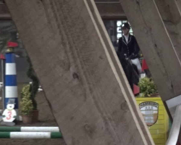 Reitturnier HH-Hummelsbüttel 2017