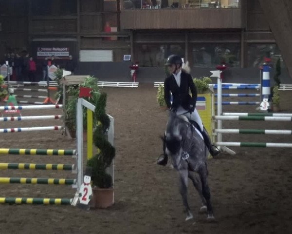 Reitturnier HH-Hummelsbüttel 2017