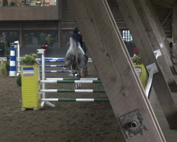 Reitturnier HH-Hummelsbüttel 2017