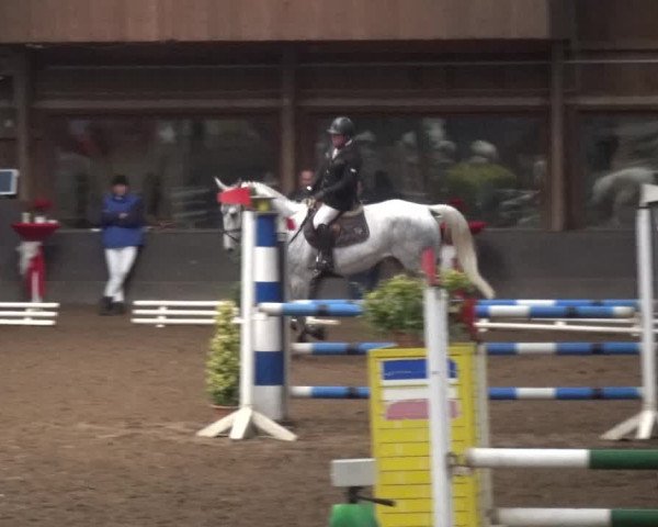 Reitturnier HH-Hummelsbüttel 2017