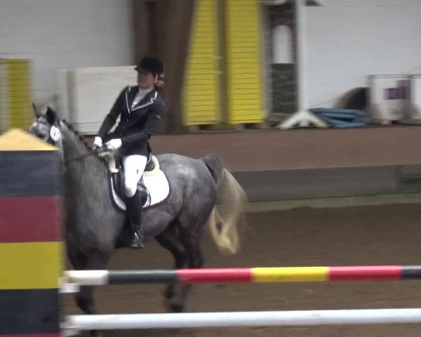 Reitturnier HH-Hummelsbüttel 2017