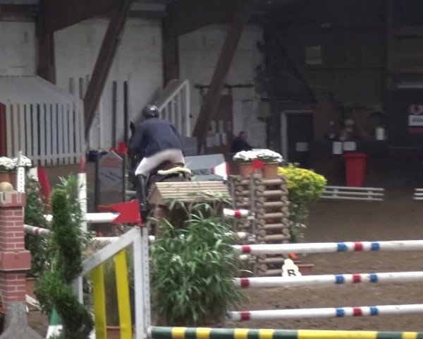 Reitturnier HH-Hummelsbüttel 2017