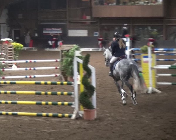 Reitturnier HH-Hummelsbüttel 2017
