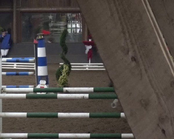 Reitturnier HH-Hummelsbüttel 2017