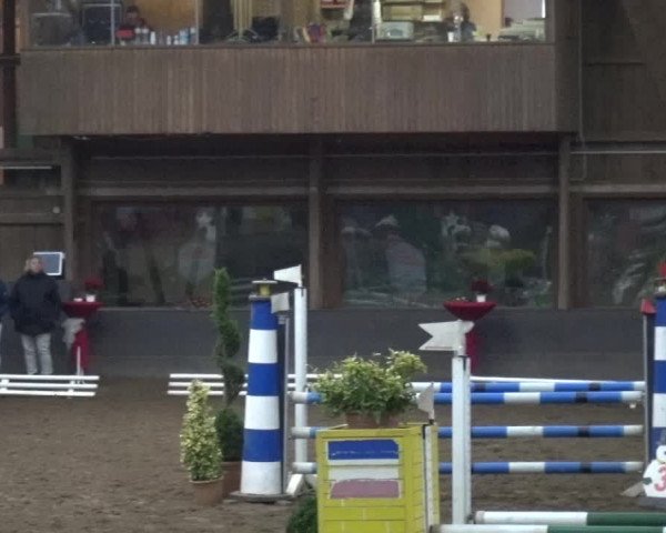 Reitturnier HH-Hummelsbüttel 2017