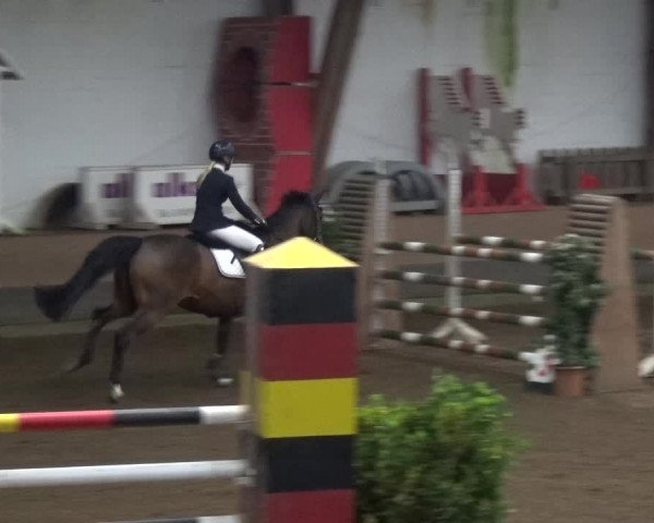 Reitturnier HH-Hummelsbüttel 2017