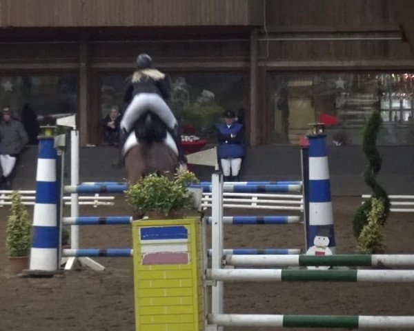 Reitturnier HH-Hummelsbüttel 2017