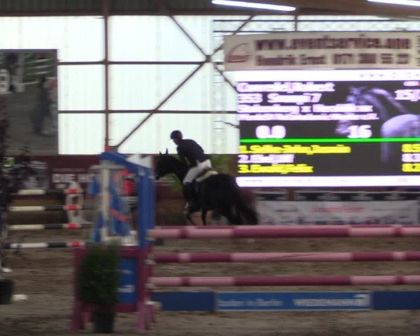 Große Jumping-Trophy Pausin 2021