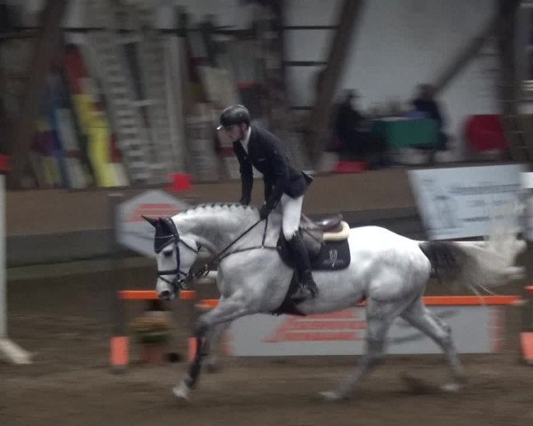 Reitturnier HH-Hummelsbüttel 2017
