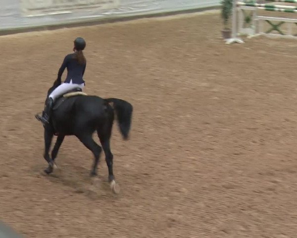 Reitturnier Kreuth 2017