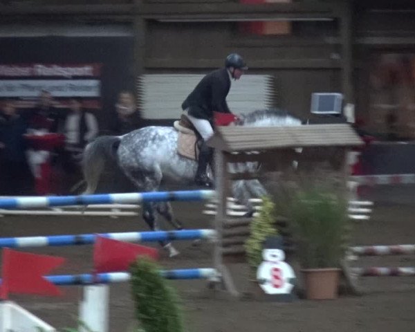 Reitturnier HH-Hummelsbüttel 2017
