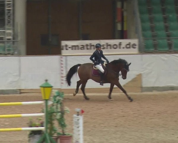Reitturnier Kreuth 2017
