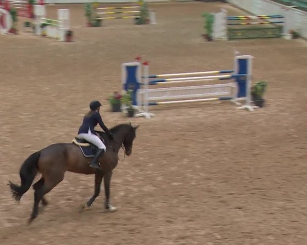 Reitturnier Kreuth 2017