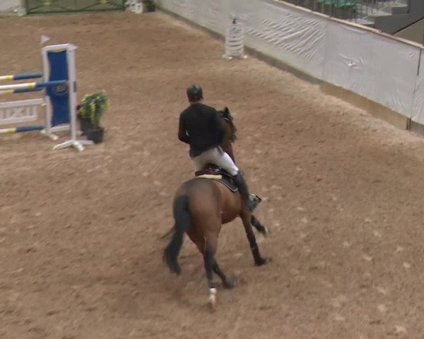 Reitturnier Kreuth 2017