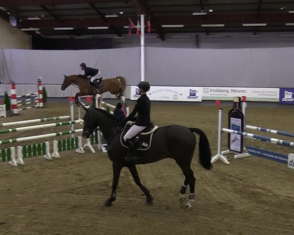 Reitturnier Münster-Handorf 2021
