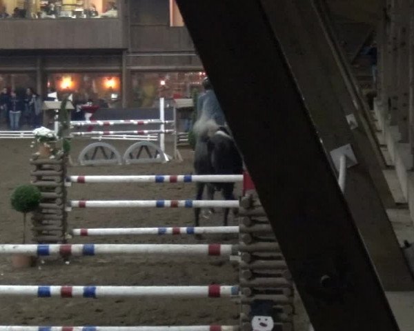 Reitturnier HH-Hummelsbüttel 2017
