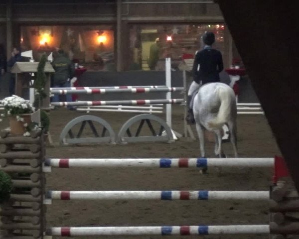 Reitturnier HH-Hummelsbüttel 2017