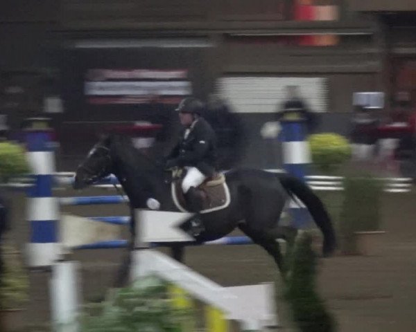 Reitturnier HH-Hummelsbüttel 2017