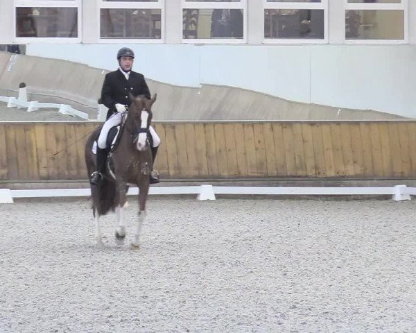 Reitturnier Freudenberg 2017