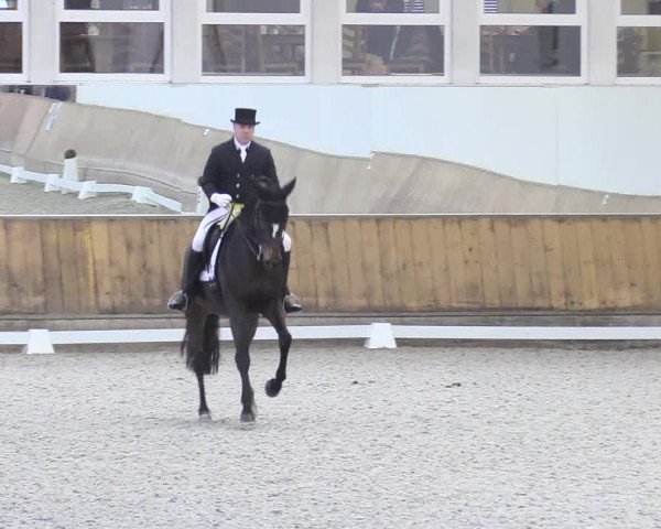 Reitturnier Freudenberg 2017