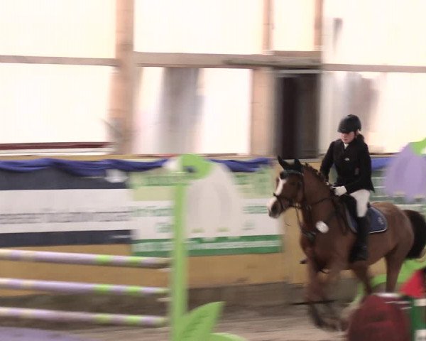 Reitturnier Pausin 2017