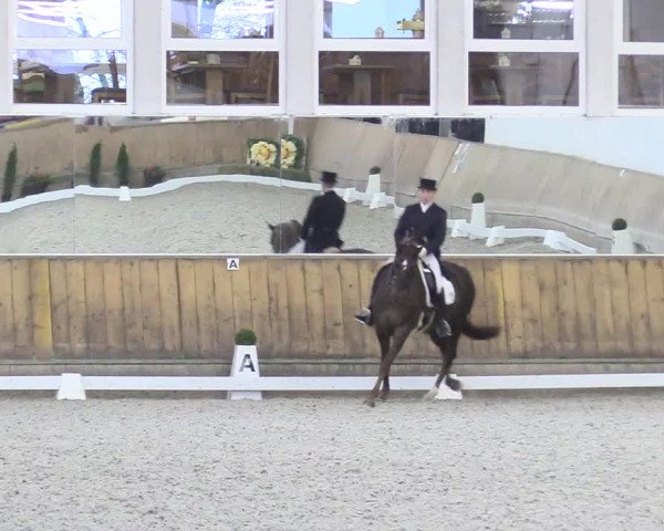 Reitturnier Freudenberg 2017