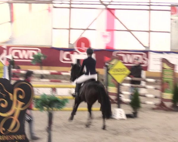 Reitturnier Pausin 2017
