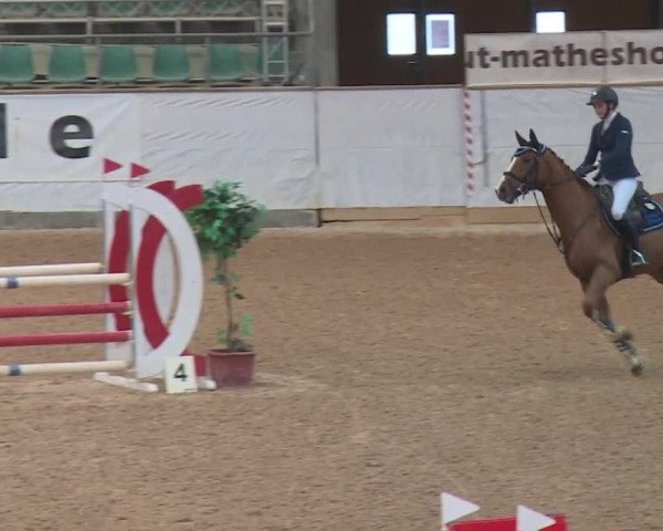 Reitturnier Kreuth 2017