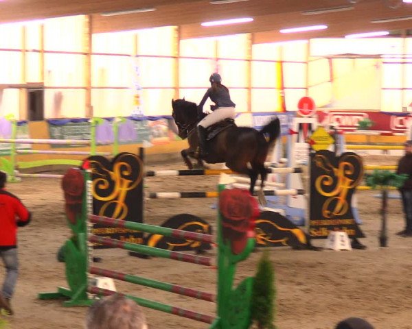 Reitturnier Pausin 2017