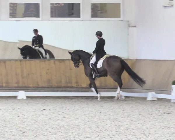 Reitturnier Freudenberg 2017
