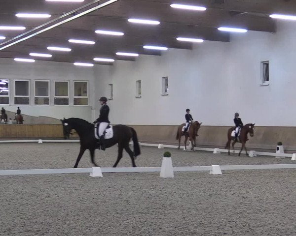 Reitturnier Freudenberg 2017