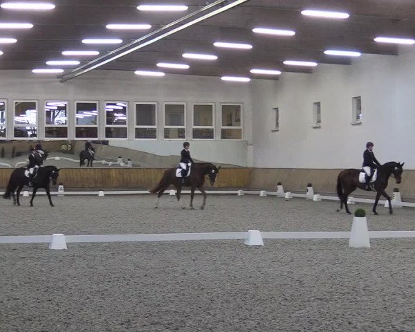 Reitturnier Freudenberg 2017