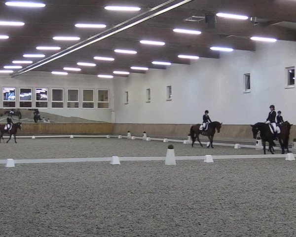Reitturnier Freudenberg 2017