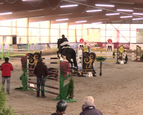 Reitturnier Pausin 2017