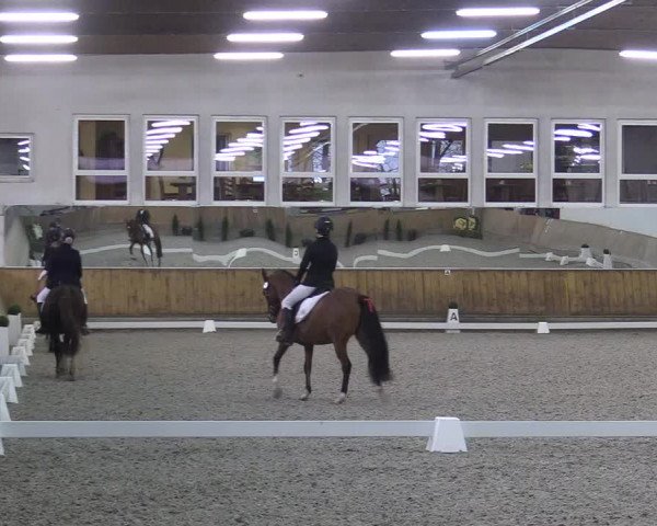 Reitturnier Freudenberg 2017
