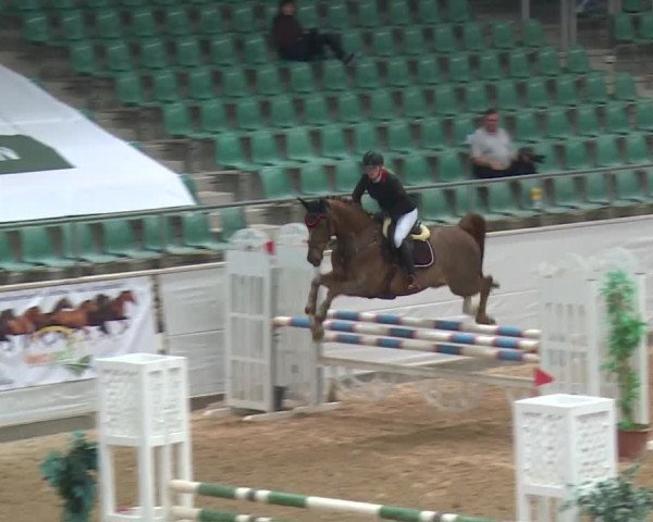 Reitturnier Kreuth 2017