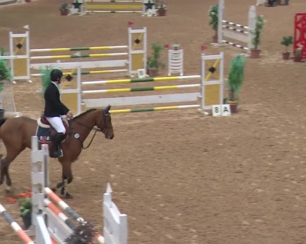 Reitturnier Kreuth 2017