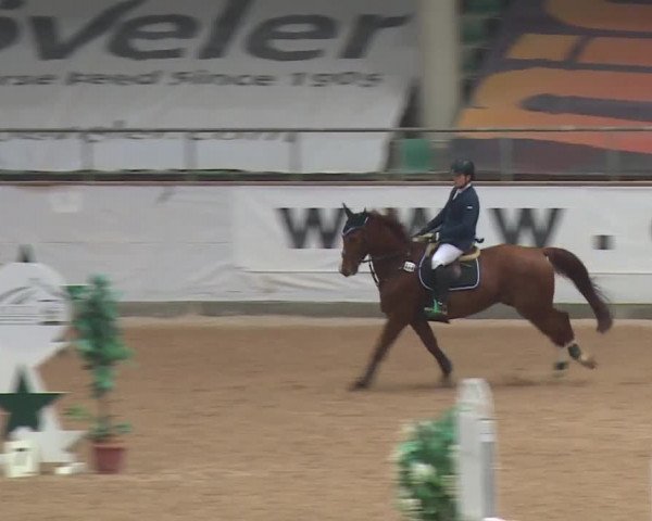 Reitturnier Kreuth 2017