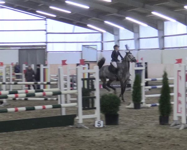 Reitturnier Datteln 2017