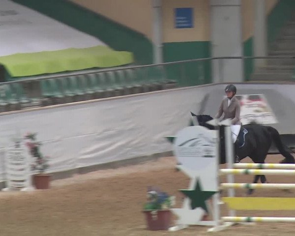 Reitturnier Kreuth 2017