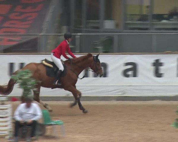Reitturnier Kreuth 2017