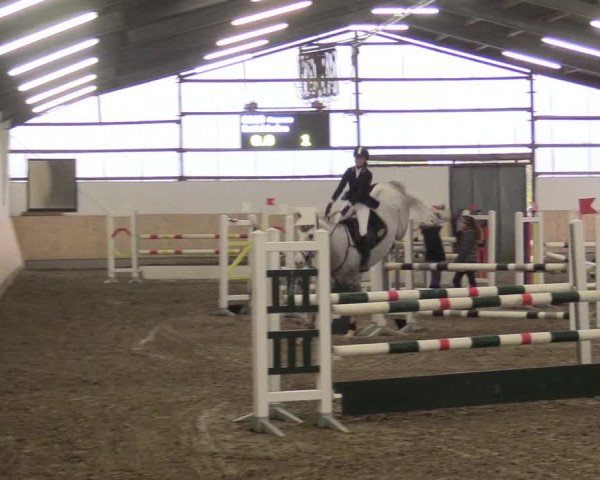 Reitturnier Datteln 2017