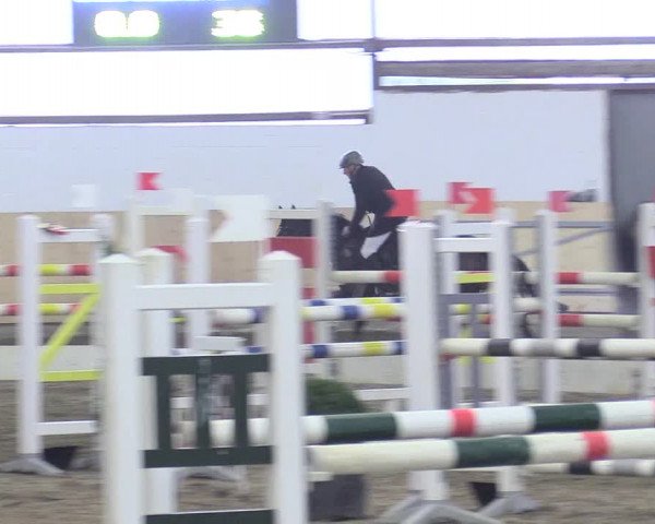 Reitturnier Datteln 2017