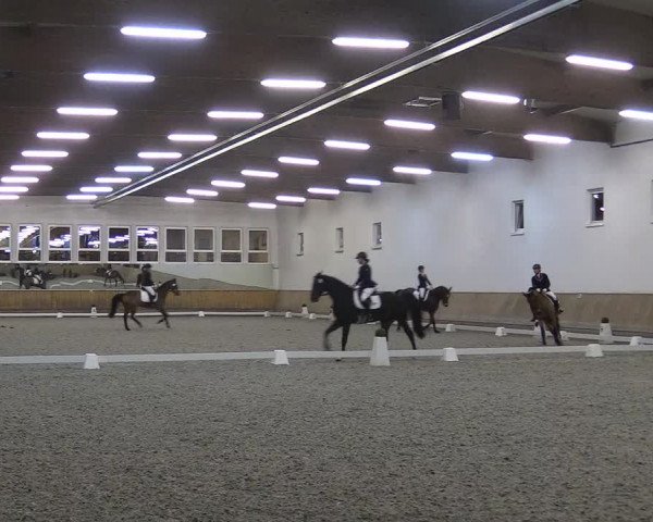 Reitturnier Freudenberg 2017