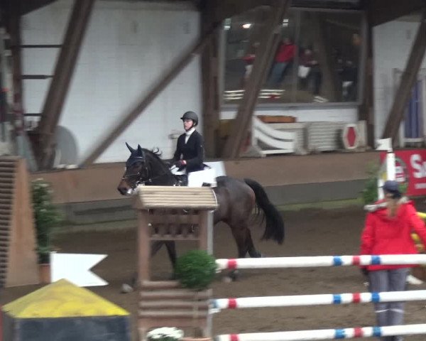 Reitturnier HH-Hummelsbüttel 2017