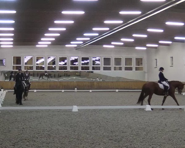 Reitturnier Freudenberg 2017