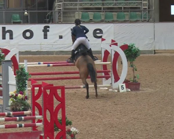 Reitturnier Kreuth 2017