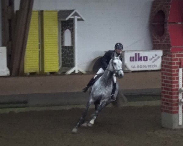 Reitturnier HH-Hummelsbüttel 2017