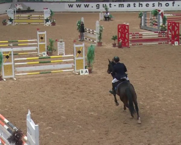 Reitturnier Kreuth 2017
